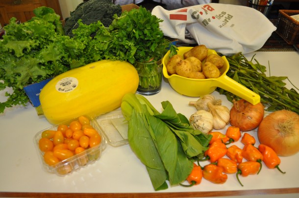 farmland pics and csa week 17 2013 057