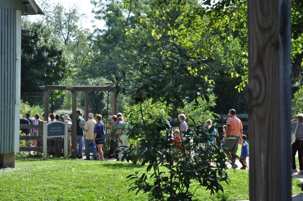 bug man, caterpillars and turf valley 016