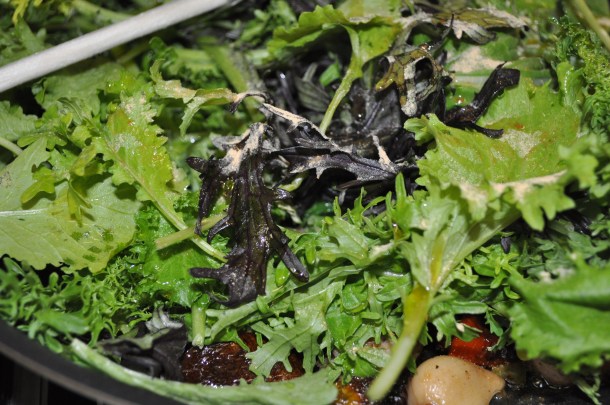 conservancy descriptive writing 030