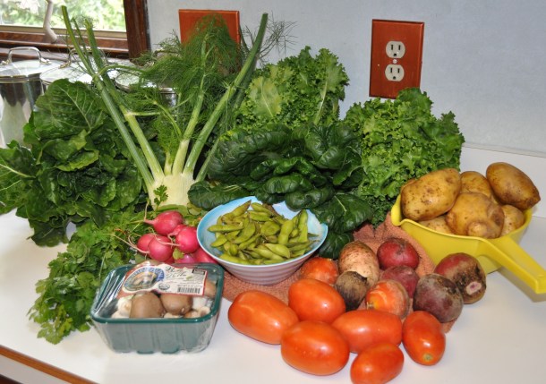 csa week 20 2013 049