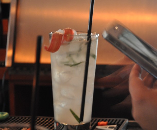 catfish friends april 17 flowers 058