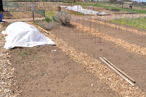 venison, gardens and petit louis bistro 041