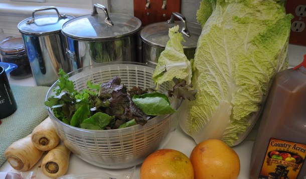 venison, gardens and petit louis bistro 052