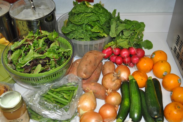 early bird csa week 8 and conservancy pilot 113