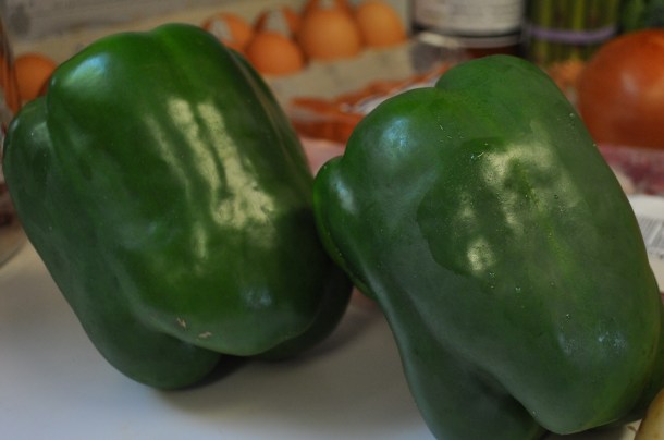 friendsfarmsmay8 008