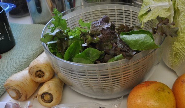 venison, gardens and petit louis bistro 052