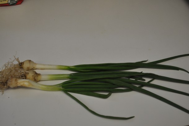 weekend meals and veggies 114