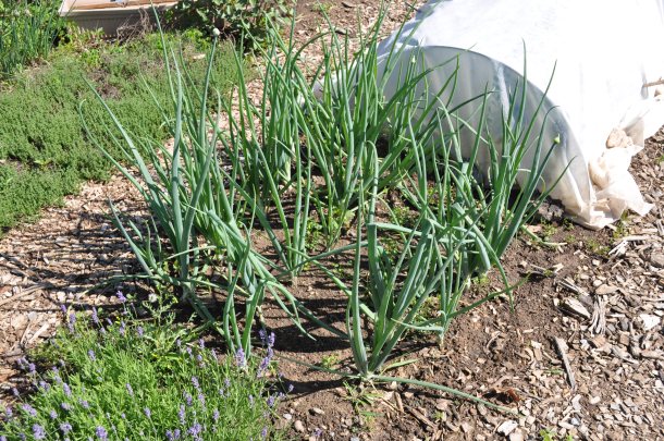 fathers day weekend 015