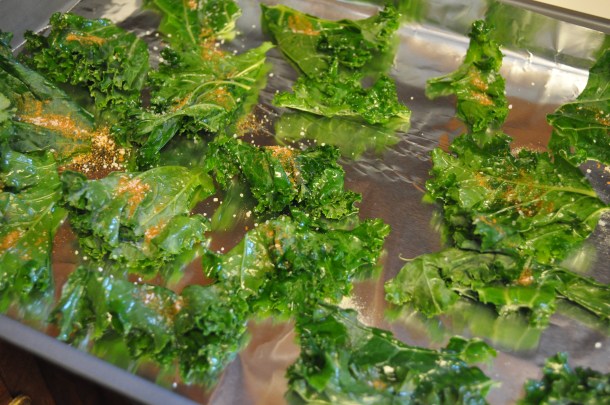 garden bees and sole dinner 089