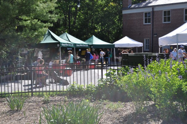 grilling and EC market 006