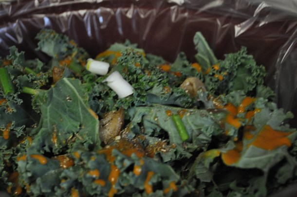 short ribs and polenta 006