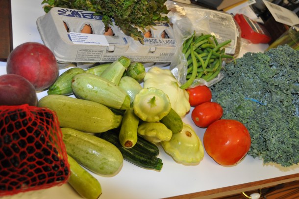 secolari and csa 059