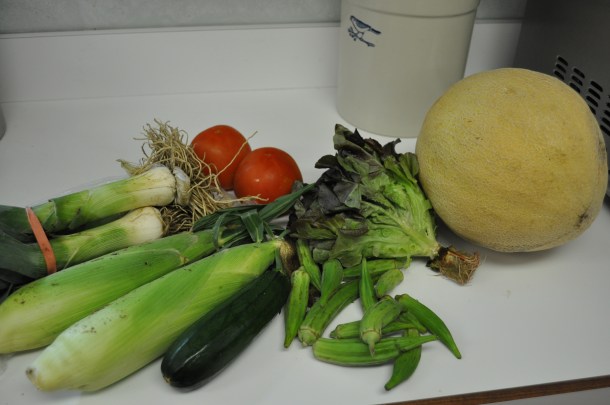 aug 14 csa and blackberry cubes 011