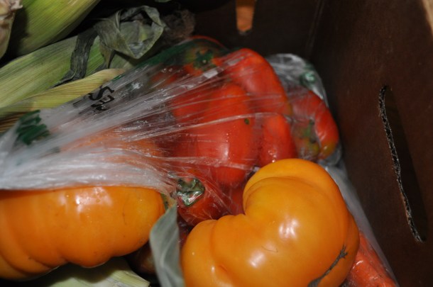 aug 14 csa and blackberry cubes 019