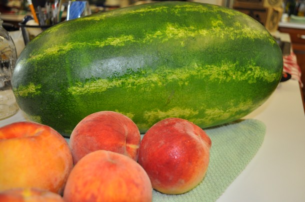 aug 21 csa and FF 006