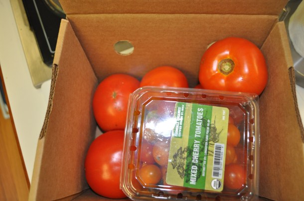 aug 21 csa and FF 007