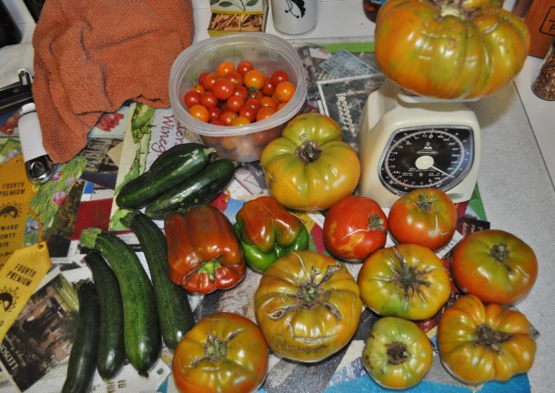 garden processing 020