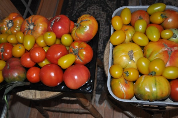 garden processing 034