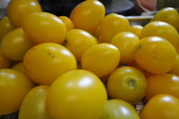 processing again 003