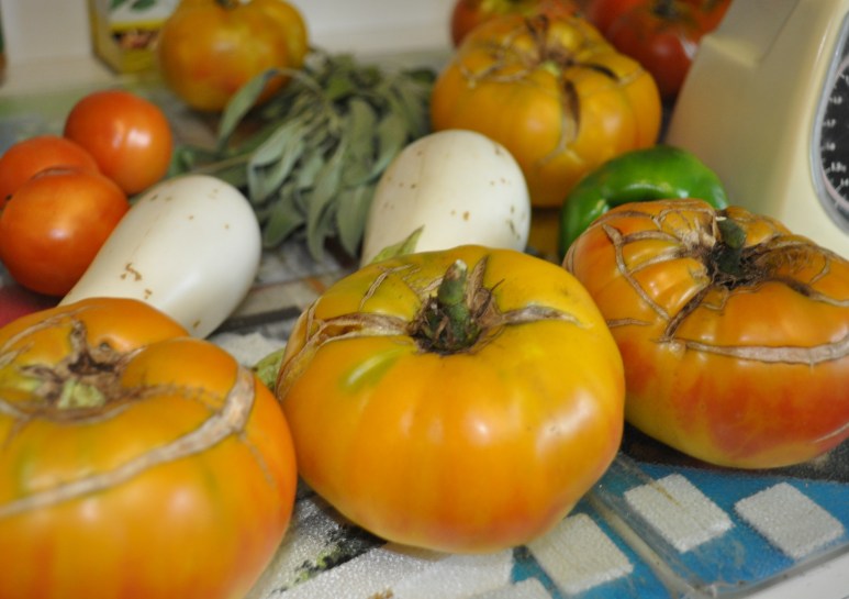 processing again 006