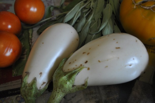 processing again 008