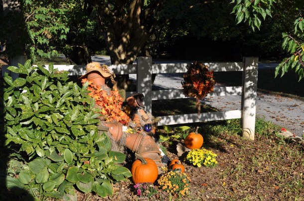 conservancy descriptive writing 005