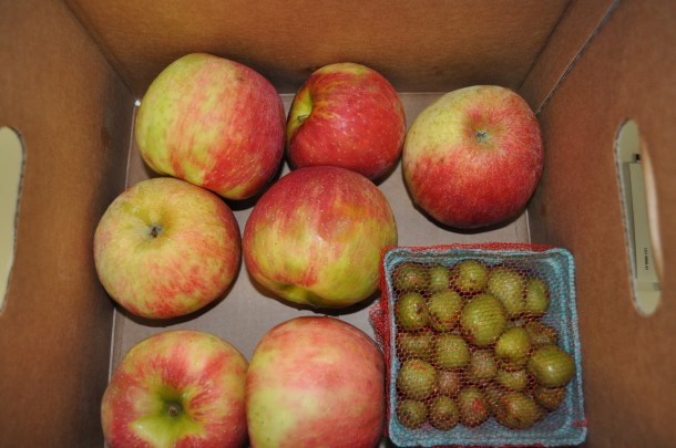 csa sep 25 and some tower 017