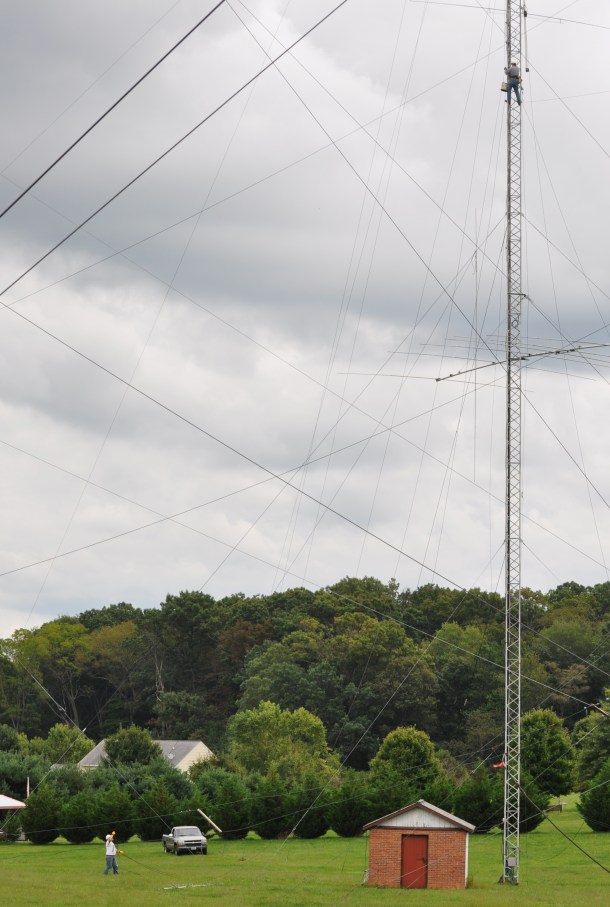 garden, tower and nottingham 012