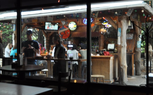 garden, tower and nottingham 025