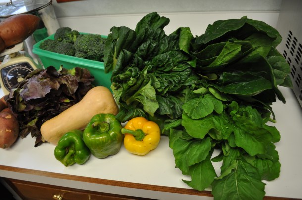 FALL FOLIAGE AND CSA OCT30 055