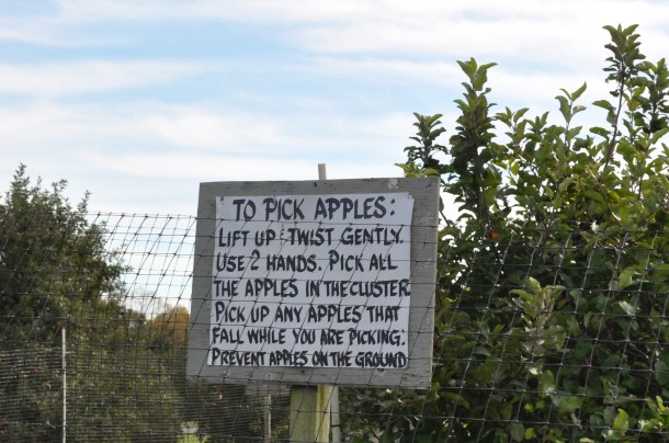 larriland and more like sunset 031