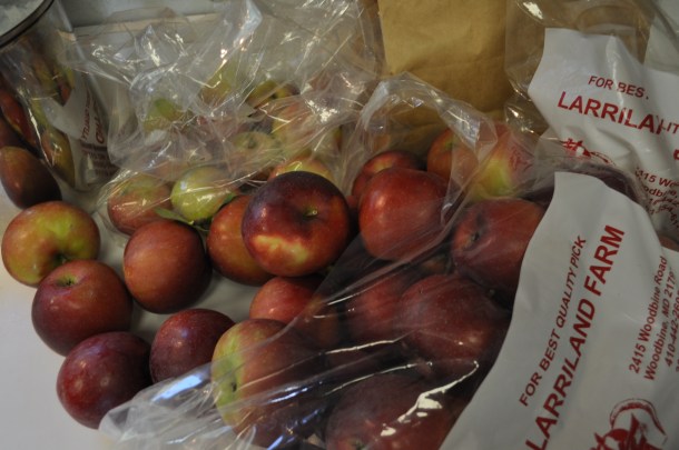 larriland and more like sunset 068