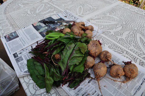 larriland and more like sunset 069