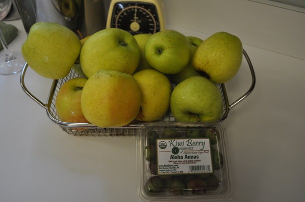 seasons 52 and csa oct 3 037