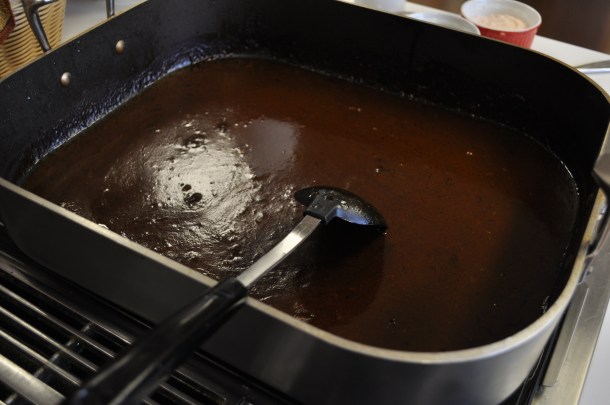 snow and turkey day 018