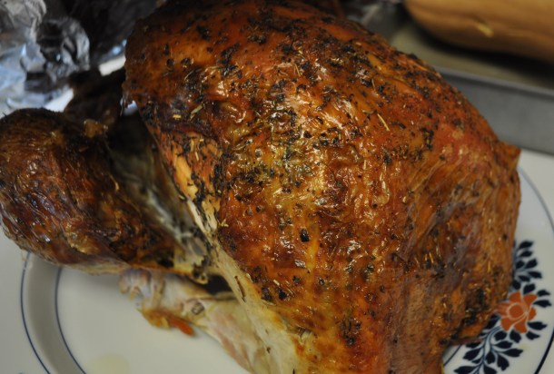 snow and turkey day 020