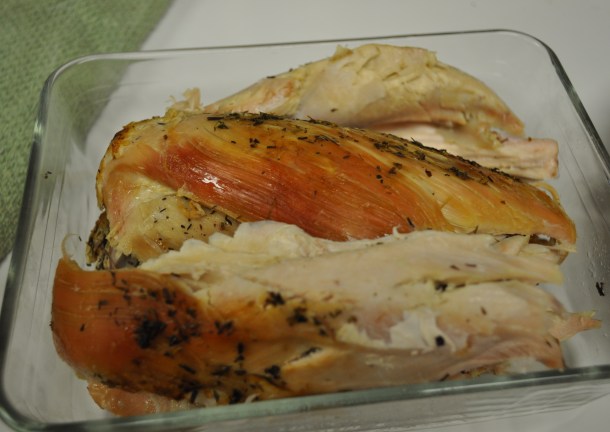 snow and turkey day 053