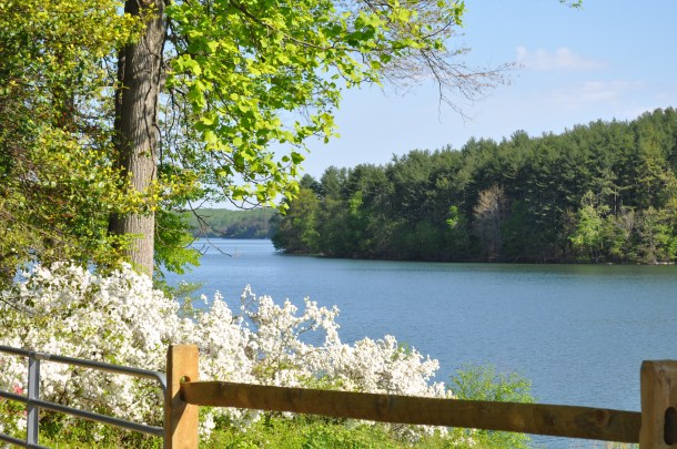 brighton dam and glenelg 106