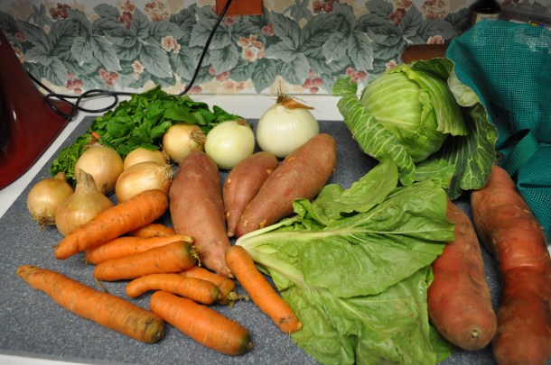 christmas and CSA dec 22 007