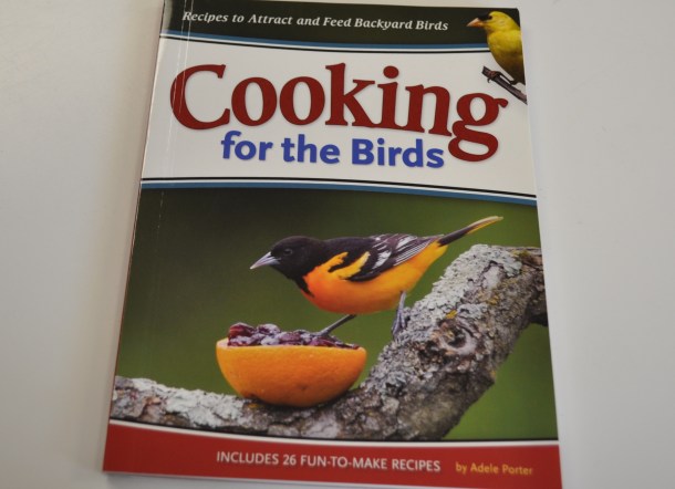 christmas pics and mother natures stuff 014