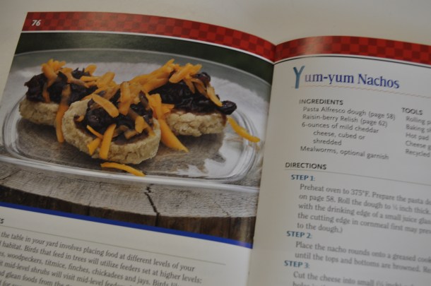 christmas pics and mother natures stuff 015