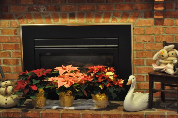 christmas tree and decorations 005