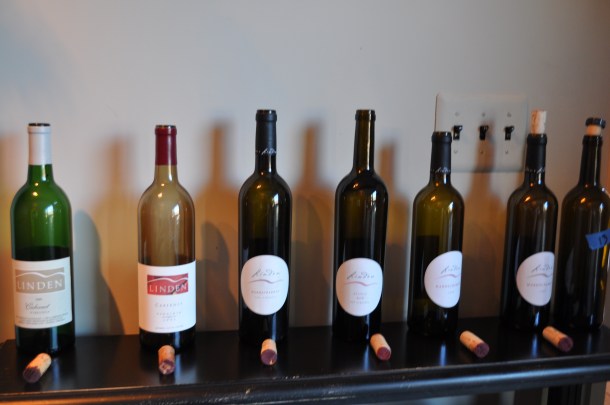 library tasting and tree selection 032