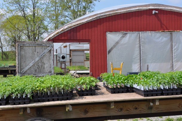 art, sharps and wine 016