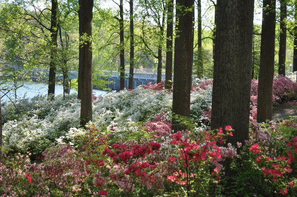 brighton dam and glenelg 182