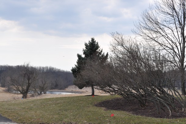 daytripping and bioblitz 058