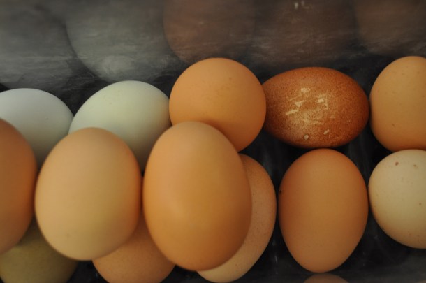 cooking sunday and linden 91 010