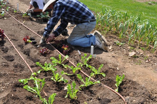 extreme weather and csa apr28 029