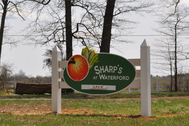 flowers sharps and spring stuff 064