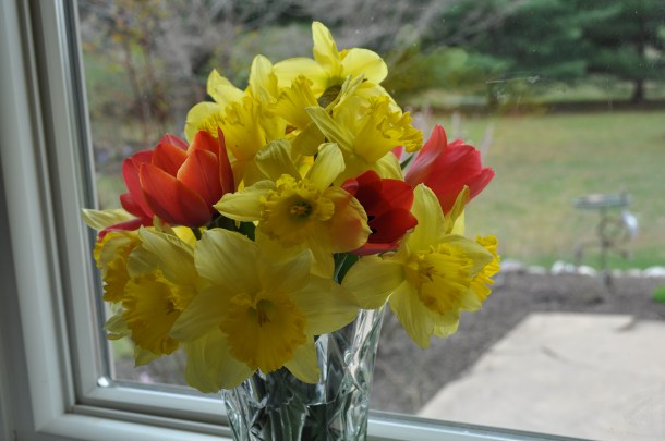 spring things and pure wine 003